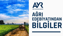 Ağrı Edebiyatından Bilgiler